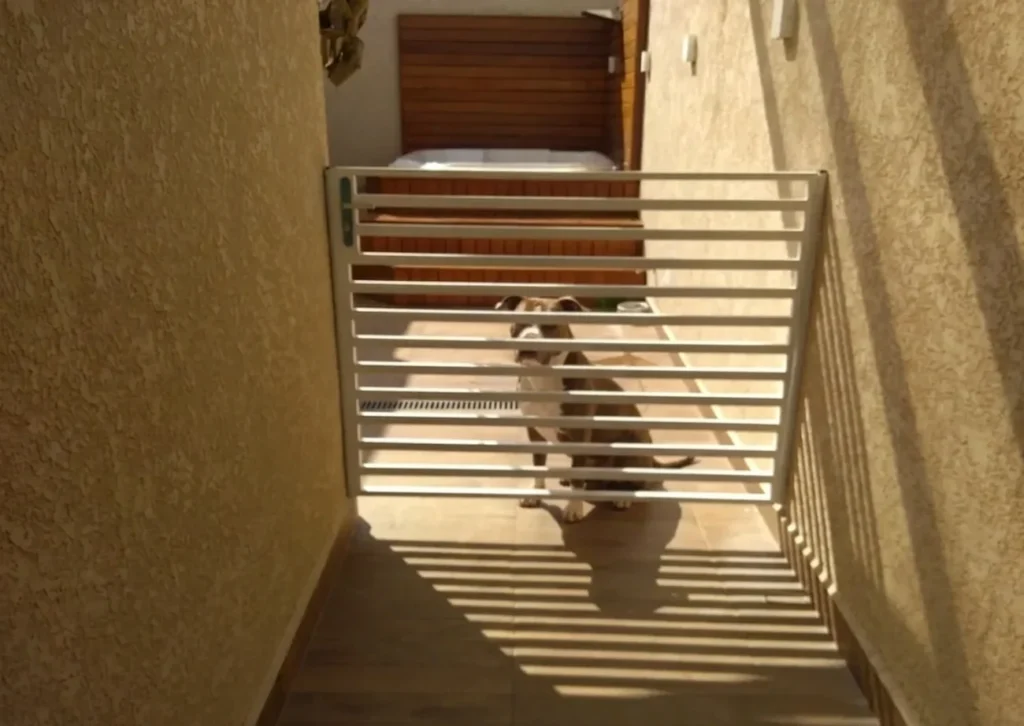 portao para cachorro de grande porte feito sob medida fabricado pela serralheria solo brasileiro e instalado na Vila Nossa Senhora Aparecida, Zona Sul de São Paulo
