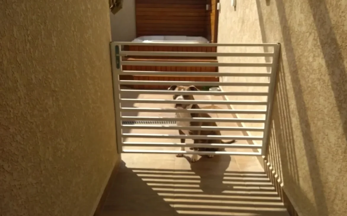 serviço de serralheria na Vila Invernada, Zona Leste de São Paulo - portão para cachorro modelo paletado horizontalmente